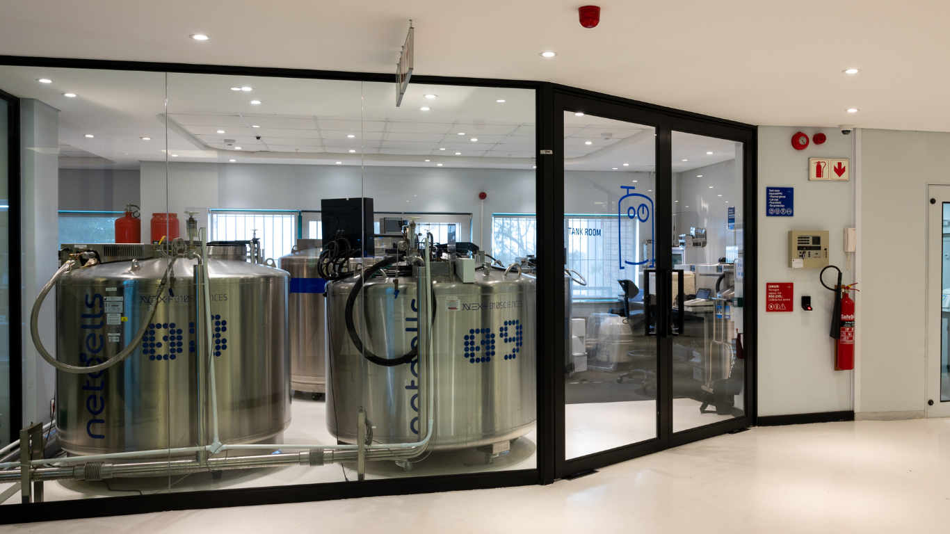 How we keep your stem cells safe 